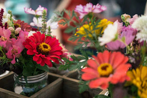 U-Pick Flowers & Bouquet Making Workshop