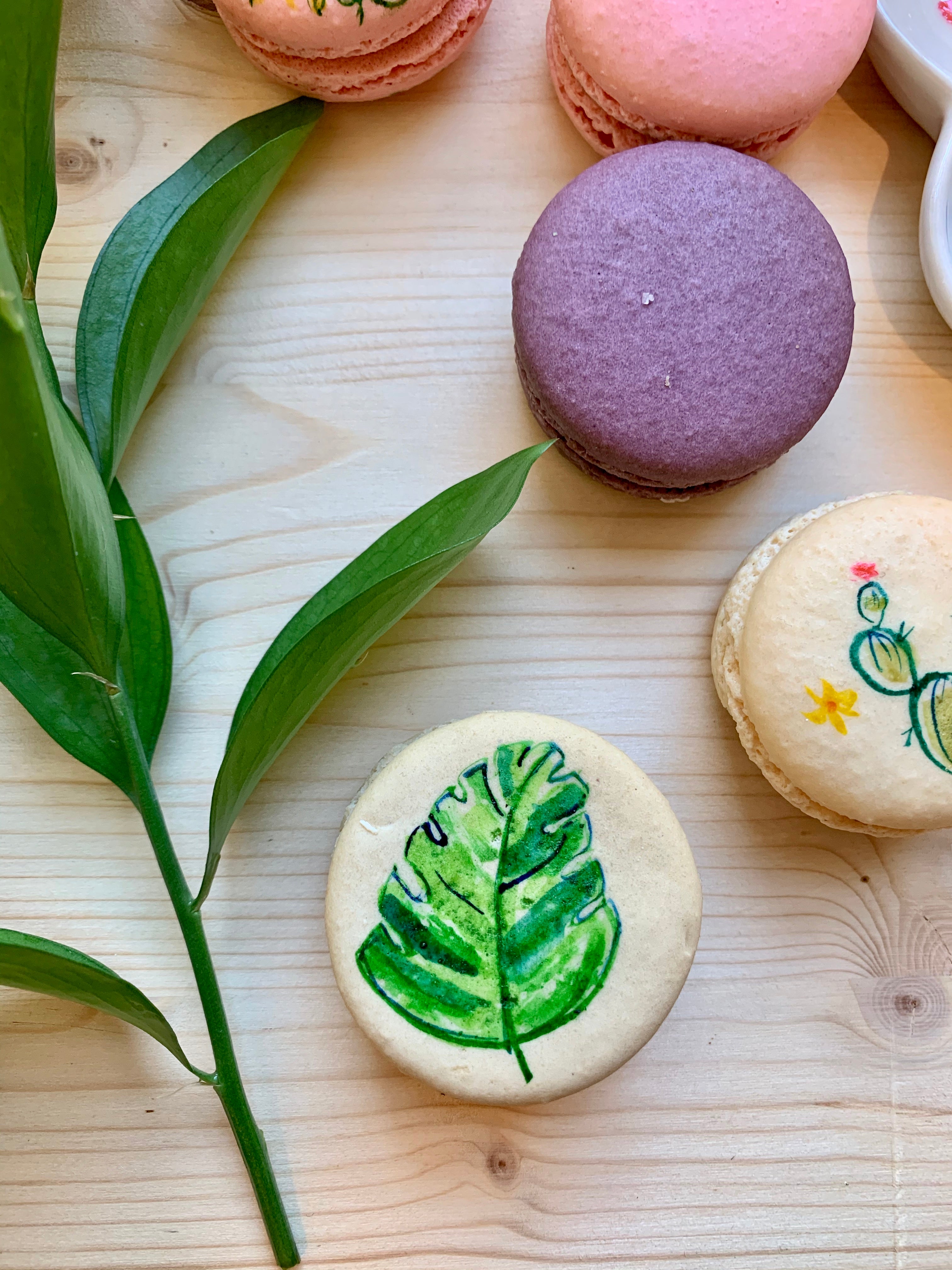 Private Macaron Painting Workshop - June 11th at 11am